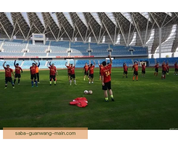 世界杯竞猜热潮来袭球迷智慧与激情交织的终极挑战盛宴